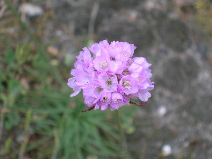 DSCN1928